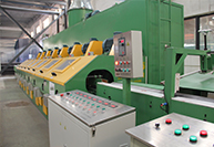 卡獅企業(yè)實力